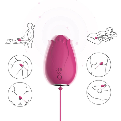 Jouets vibrants de sexe d'oeufs de tache de G pour le contrôle sans fil Mini Flower Silicone de femmes