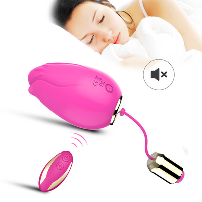 Jouets vibrants de sexe d'oeufs de tache de G pour le contrôle sans fil Mini Flower Silicone de femmes