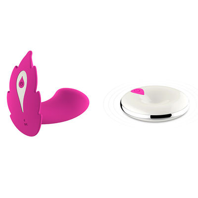 Clitoris portable à télécommande de vibrateur