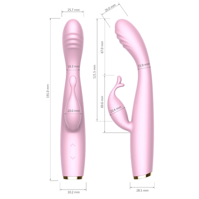 Vibrateur silencieux de lapin de G de tache moteur femelle anal mou sans fil de vibrateur de double