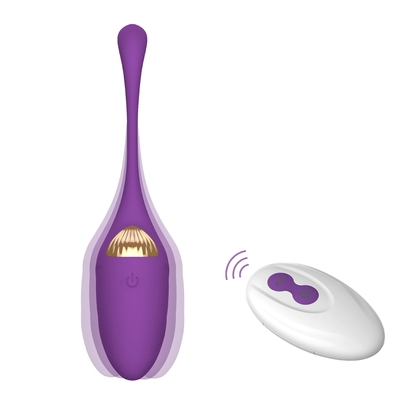 10 fonctions aiment jouet mince électrique de sexe de vibrateur de balle de vibrateur de vibrateur d'oeufs le long