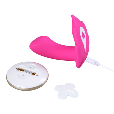 Couplez le vibrateur portable à télécommande de fond pour des femmes