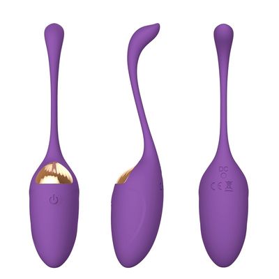 Radio anale de recharge d'USB d'oeufs d'amour de vibrateur de chat de silicone de femme à télécommande