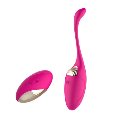 Sexe vibrant Toy Rechargeable Bullet With Remote d'oeufs de vibrateur femelle de masturbation