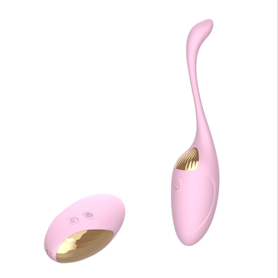 Sexe vibrant Toy Rechargeable Bullet With Remote d'oeufs de vibrateur femelle de masturbation