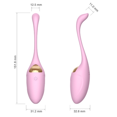 Sexe vibrant Toy Rechargeable Bullet With Remote d'oeufs de vibrateur femelle de masturbation