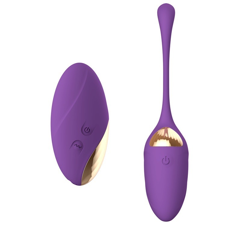 Radio anale de recharge d'USB d'oeufs d'amour de vibrateur de chat de silicone de femme à télécommande